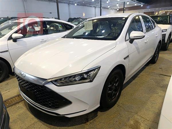 بی وای دی Qin Plus 2026  بۆ فرۆشتن لە عێراق -  بەغداد